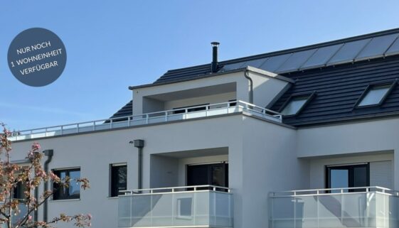 4 Zimmer-Wohnung mit Dachterrasse am Forstweiher